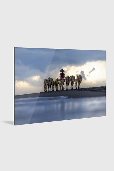 Timeless Journey