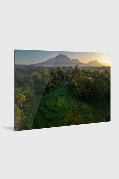 Subak Symphony